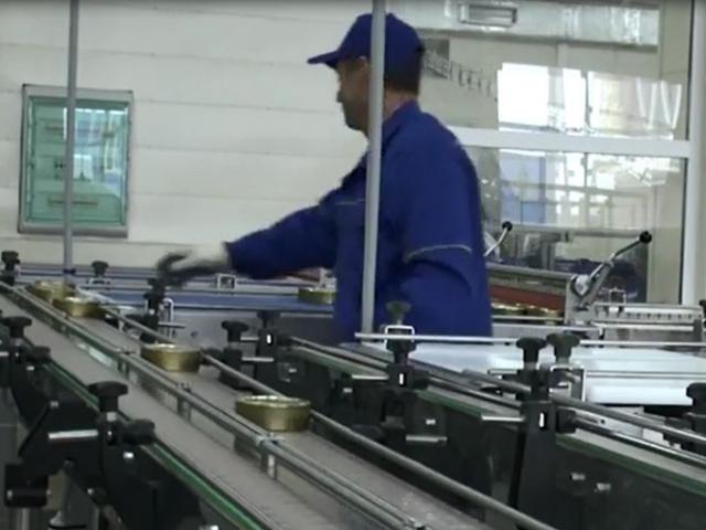 Транспортер пластинчатый (Универсальный) в Тучково